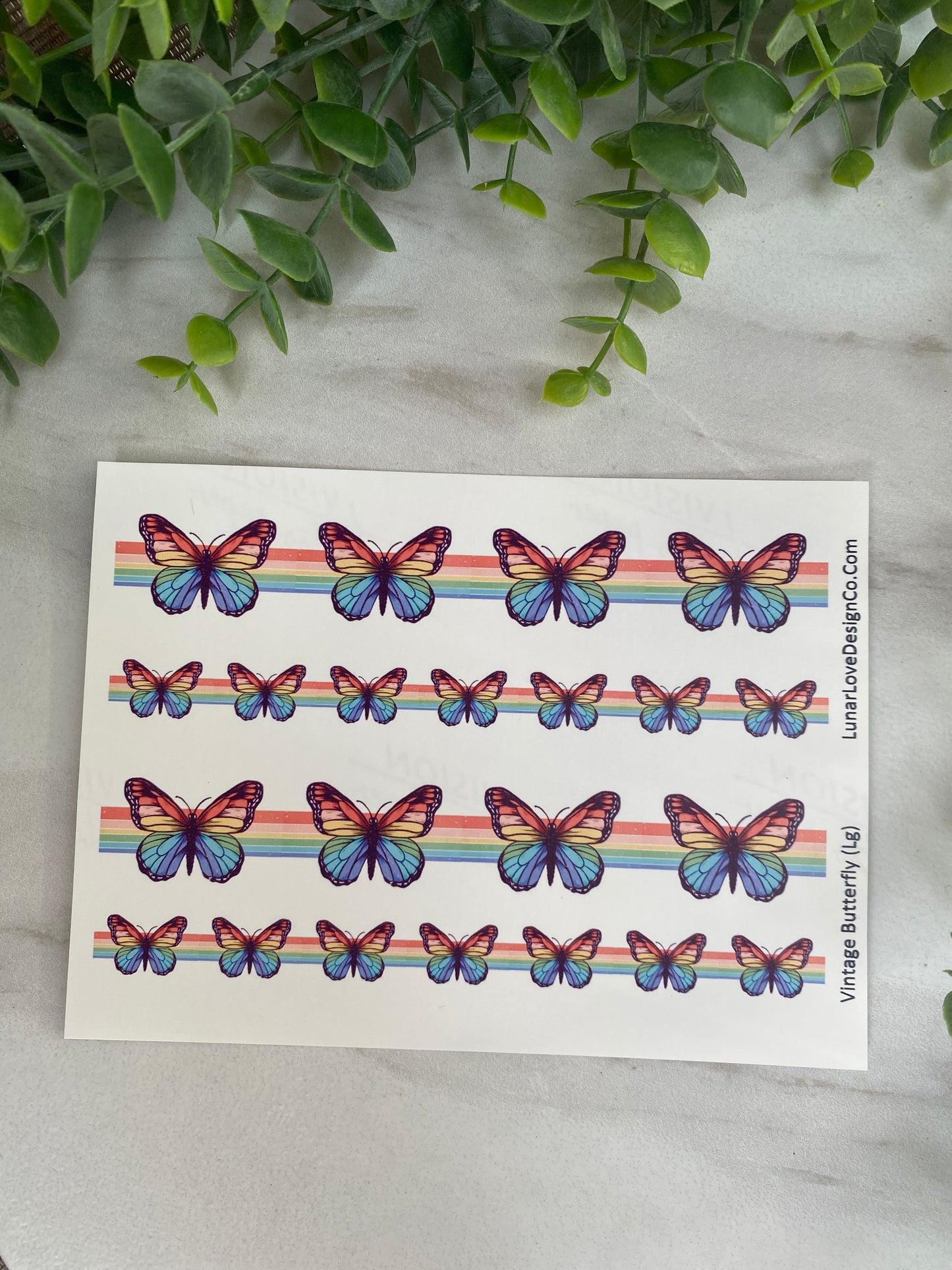 Vintage Butterfly Print - Clay Tattoo Sheet